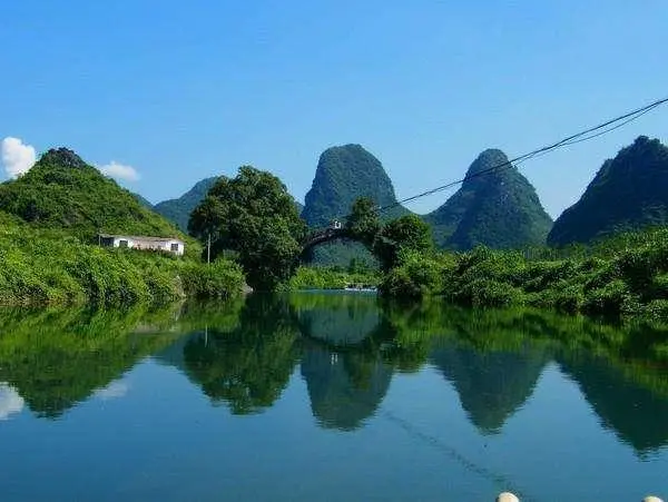 绿色高效独特